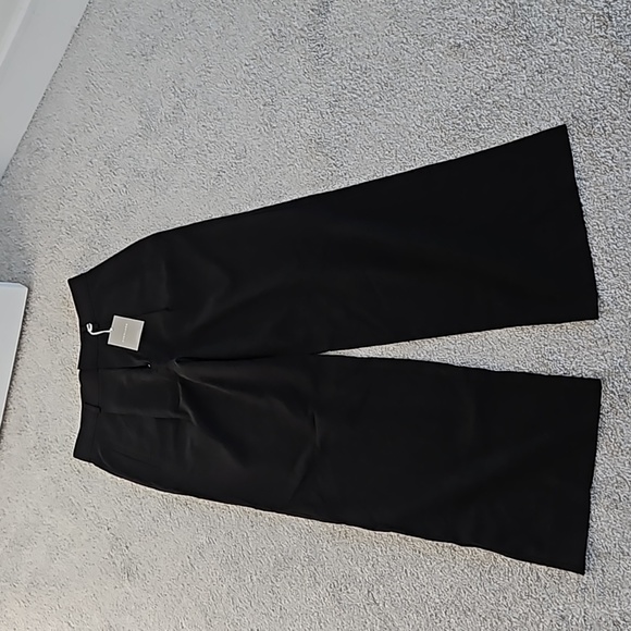 NWT. Everlane Way-High Drape pants - Picture 5 of 11